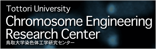 鳥取大学染色体工学研究センター